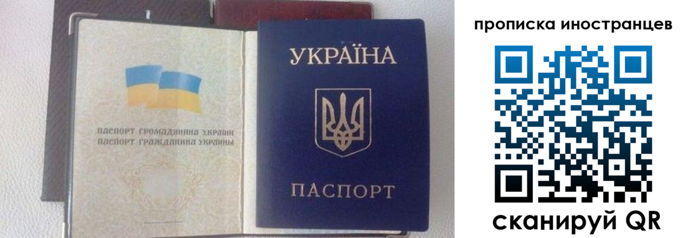 регистрация в Мурино